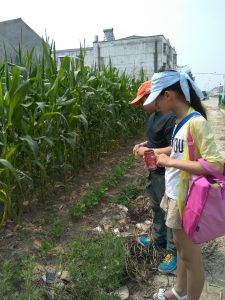 to recognize the plant_20160619_095903